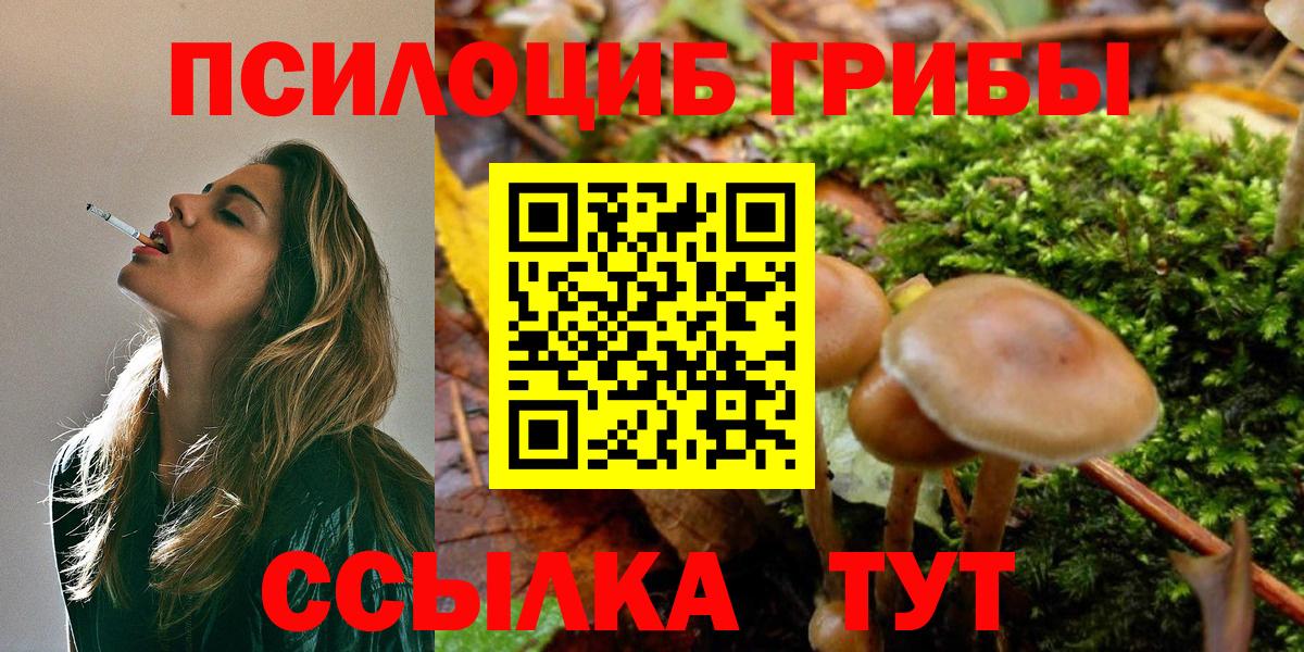 Псилоцибиновые грибы мухоморы Новоалтайск