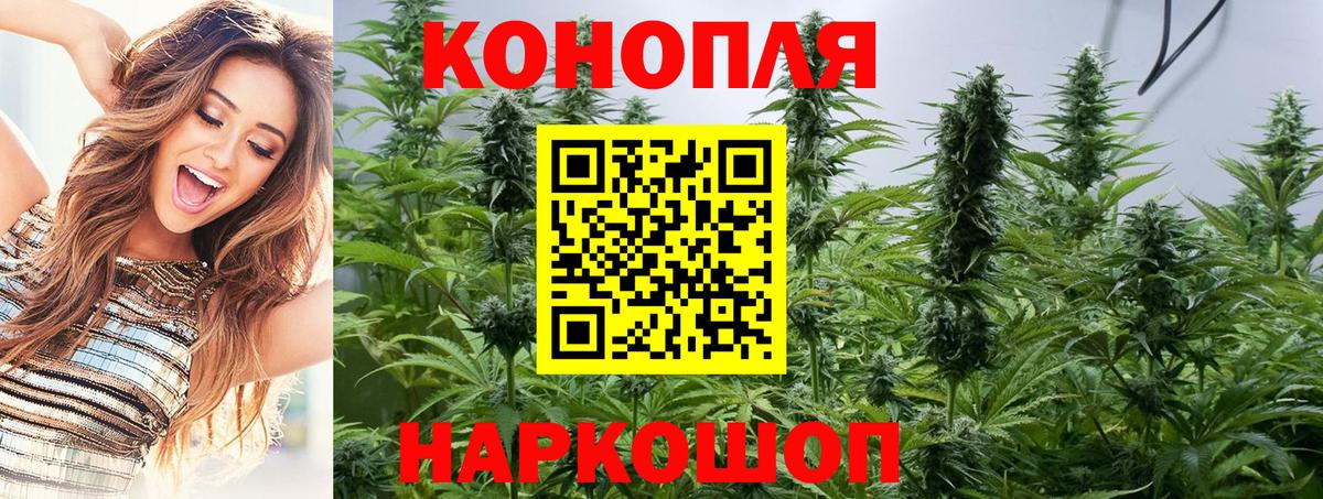 МАРИХУАНА MAZAR  Конопля MAZAR  Новоалтайск  Вход с VPN  Марихуана семена 